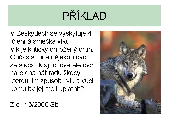 PŘÍKLAD V Beskydech se vyskytuje 4 členná smečka vlků. Vlk je kriticky ohrožený druh.