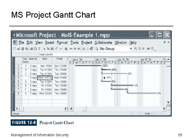 MS Project Gantt Chart Management of Information Security 59 