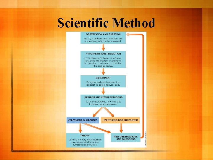 Scientific Method 