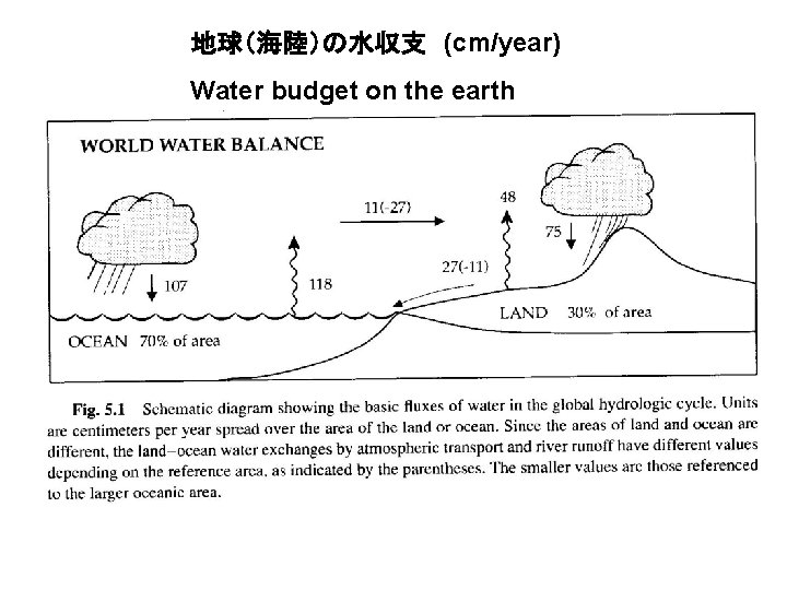 地球（海陸）の水収支　(cm/year) Water budget on the earth 