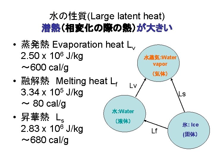 水の性質(Large latent heat) 潜熱（相変化の際の熱）が大きい • 蒸発熱 Evaporation heat Lv　 2. 50 x 106 J/kg