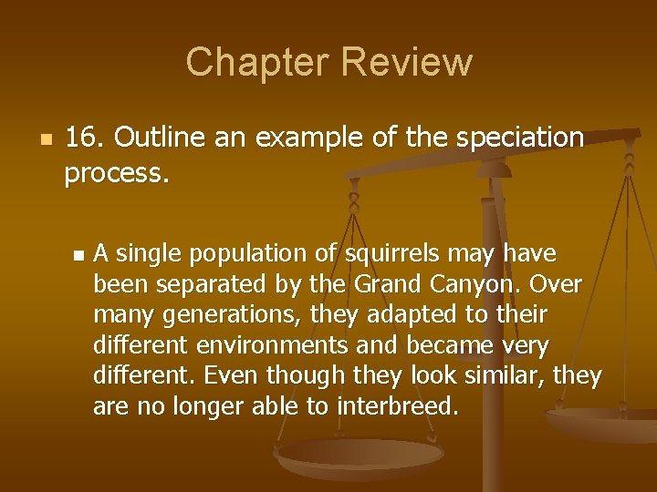 Chapter Review n 16. Outline an example of the speciation process. n A single