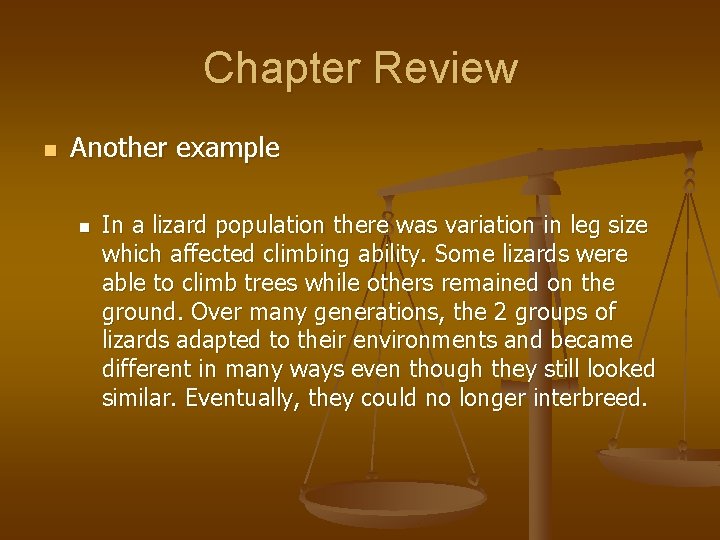 Chapter Review n Another example n In a lizard population there was variation in