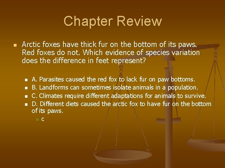 Chapter Review n Arctic foxes have thick fur on the bottom of its paws.