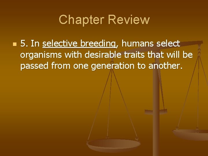 Chapter Review n 5. In selective breeding, humans select organisms with desirable traits that