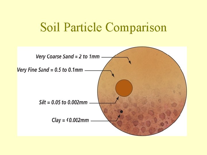 Soil Particle Comparison 