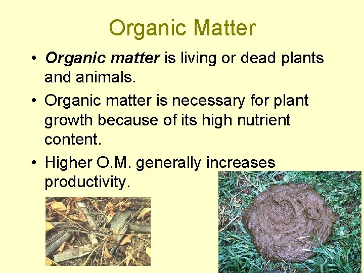 Organic Matter • Organic matter is living or dead plants and animals. • Organic
