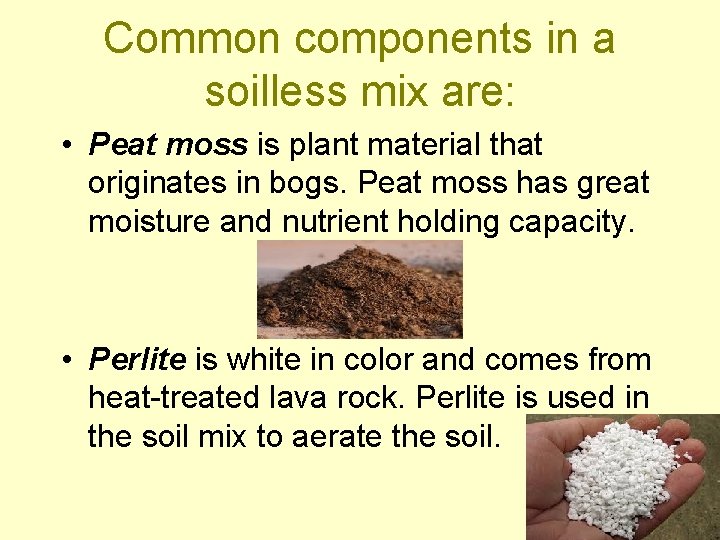 Common components in a soilless mix are: • Peat moss is plant material that