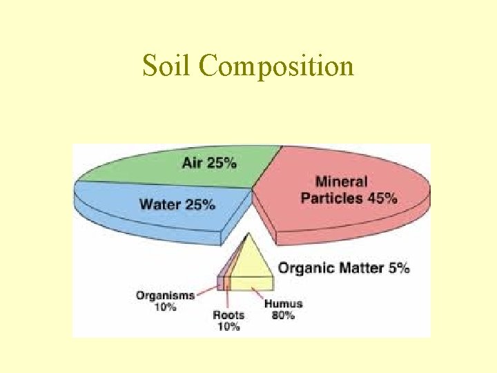 Soil Composition 