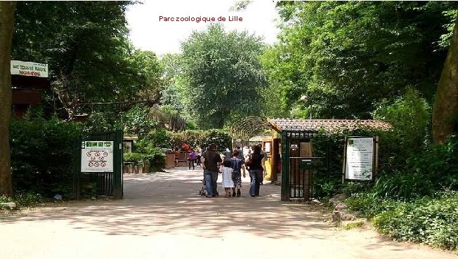 Parc zoologique de Lille 