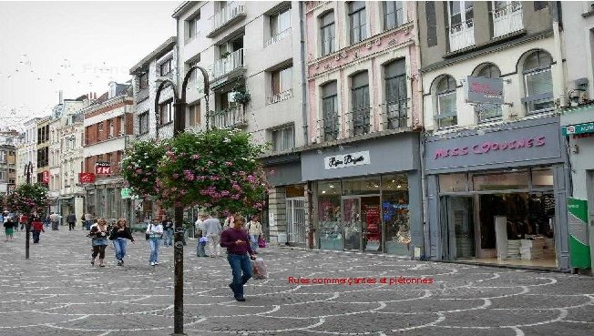 Rues commerçantes et piétonnes 