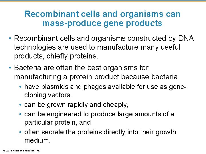 Recombinant cells and organisms can mass-produce gene products • Recombinant cells and organisms constructed