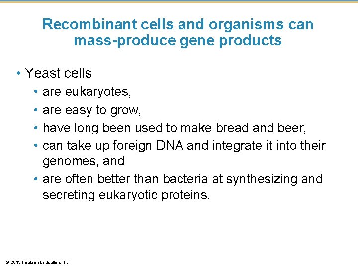 Recombinant cells and organisms can mass-produce gene products • Yeast cells • • are