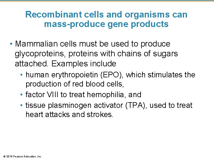 Recombinant cells and organisms can mass-produce gene products • Mammalian cells must be used