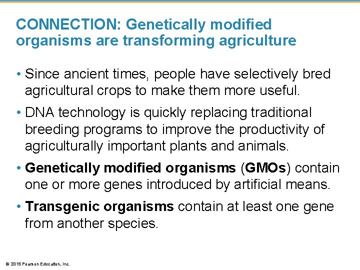 CONNECTION: Genetically modified organisms are transforming agriculture • Since ancient times, people have selectively