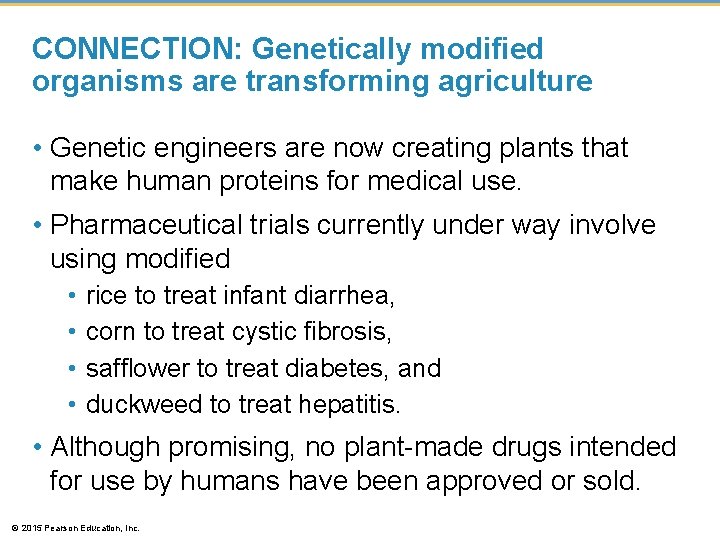 CONNECTION: Genetically modified organisms are transforming agriculture • Genetic engineers are now creating plants