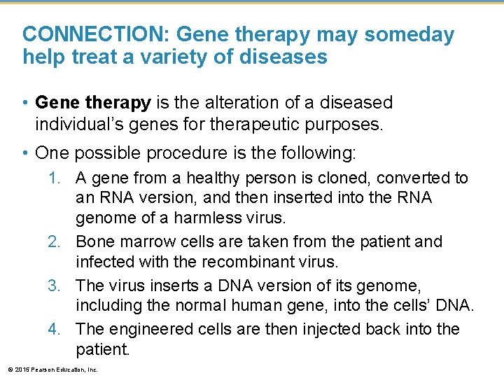 CONNECTION: Gene therapy may someday help treat a variety of diseases • Gene therapy