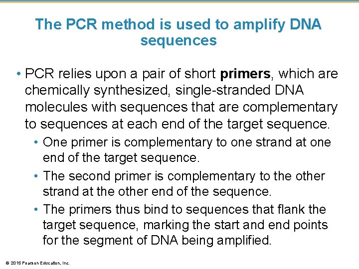 The PCR method is used to amplify DNA sequences • PCR relies upon a