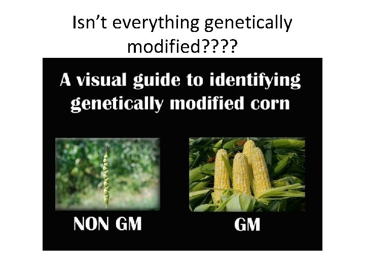 Isn’t everything genetically modified? ? 