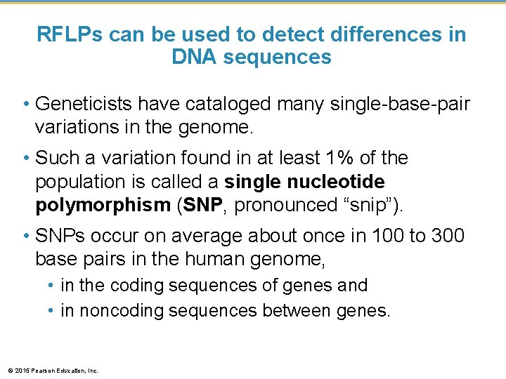 RFLPs can be used to detect differences in DNA sequences • Geneticists have cataloged