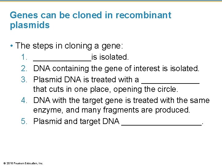 Genes can be cloned in recombinant plasmids • The steps in cloning a gene: