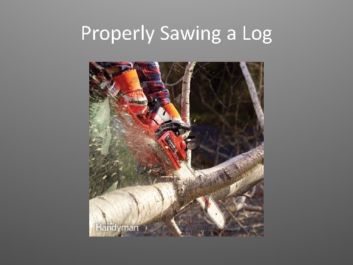 Properly Sawing a Log 