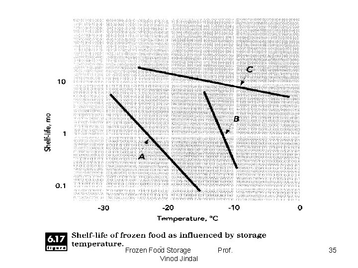 Frozen Food Storage Vinod Jindal Prof. 35 