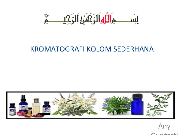 KROMATOGRAFI KOLOM SEDERHANA Any 