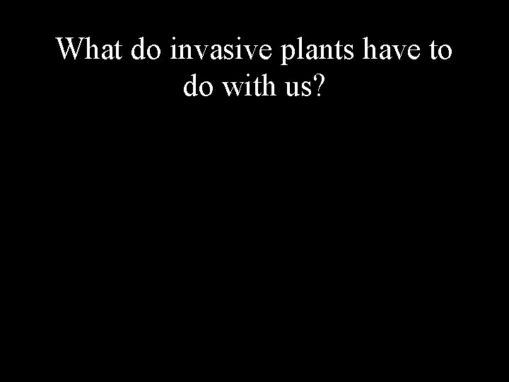 What do invasive plants have to do with us? 