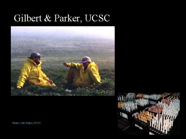 Gilbert & Parker, UCSC Photos: I. M. Parker, UCSC 