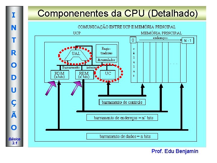 I Componenentes da CPU (Detalhado) N T R O D U Ç Ã O I Componenentes da CPU (Detalhado) N T R O D U Ç Ã O