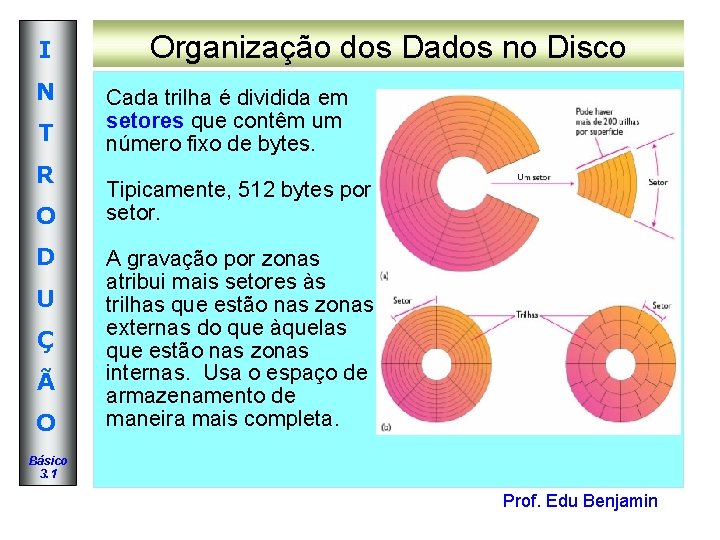 I N T R O D U Ç Ã O Organização dos Dados no I N T R O D U Ç Ã O Organização dos Dados no