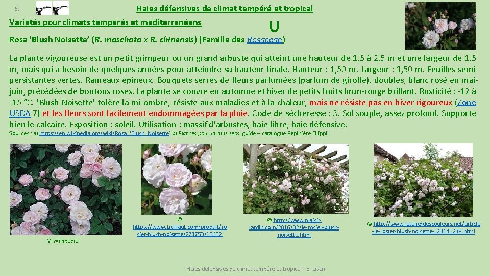 Haies Dfensives Pour Climat Tempr Et Tropical Benjamin