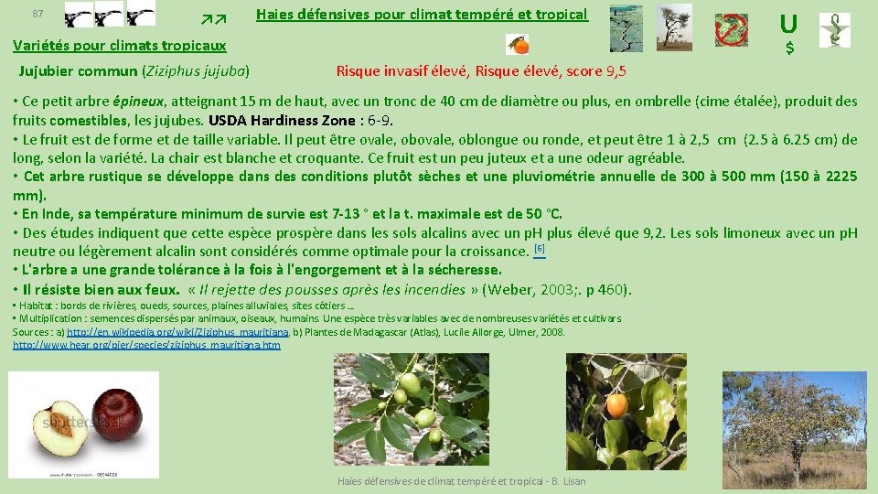 Haies Dfensives Pour Climat Tempr Et Tropical Benjamin