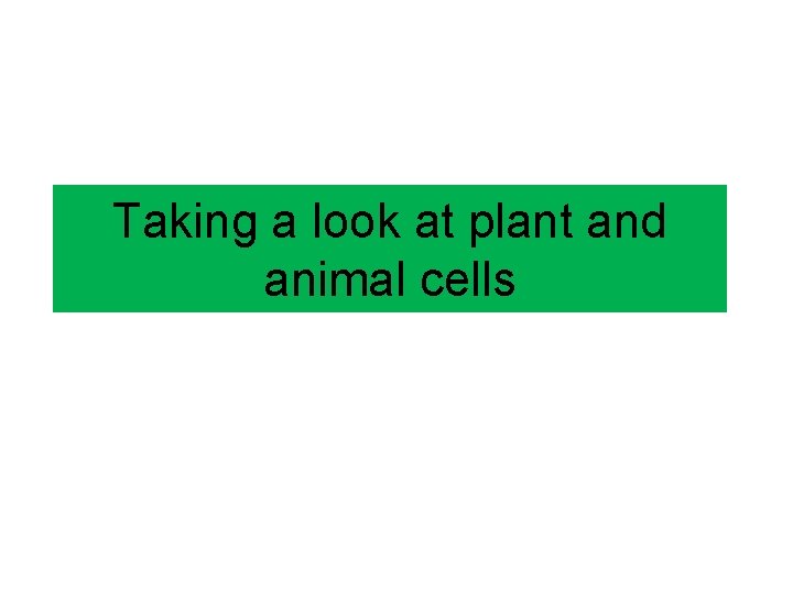 Taking a look at plant and animal cells Taking a look at plant and animal cells