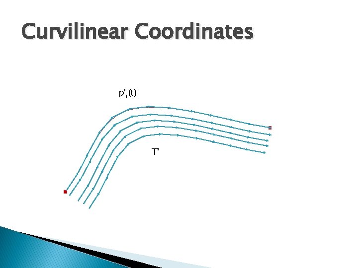 Curvilinear Coordinates p'i(t) T' 