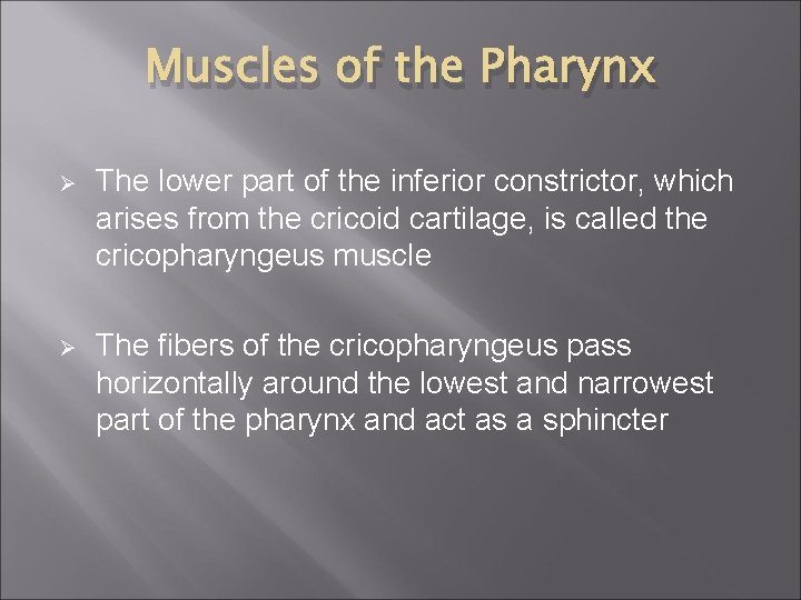 Muscles of the Pharynx Ø The lower part of the inferior constrictor, which arises