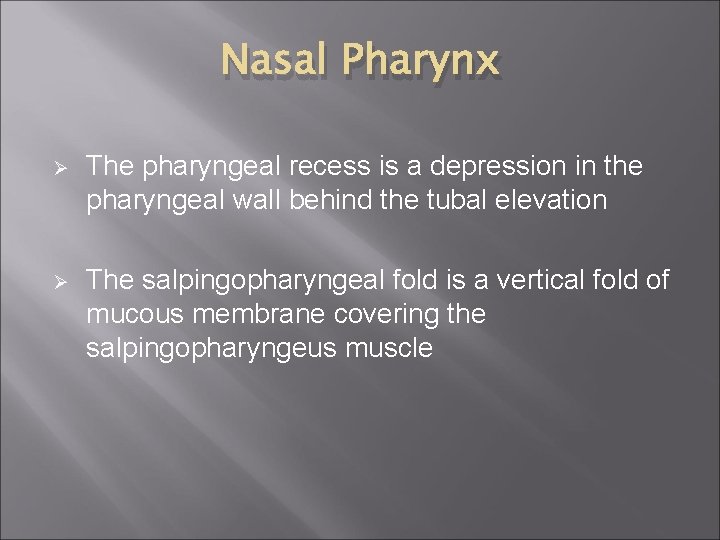 Nasal Pharynx Ø The pharyngeal recess is a depression in the pharyngeal wall behind