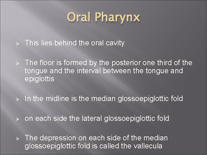 Oral Pharynx Ø This lies behind the oral cavity Ø The floor is formed