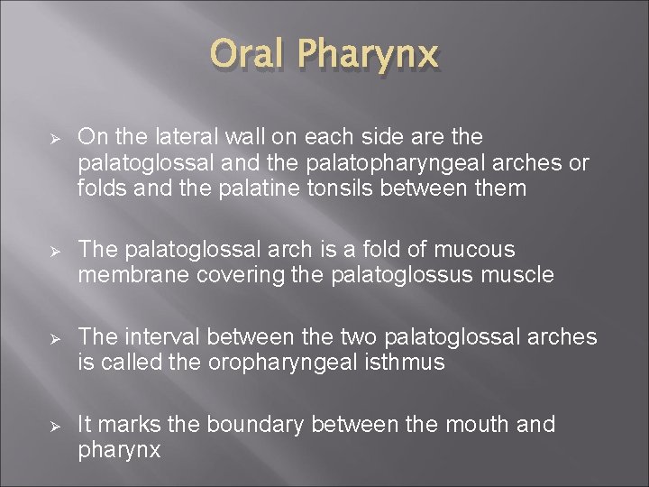 Oral Pharynx Ø On the lateral wall on each side are the palatoglossal and