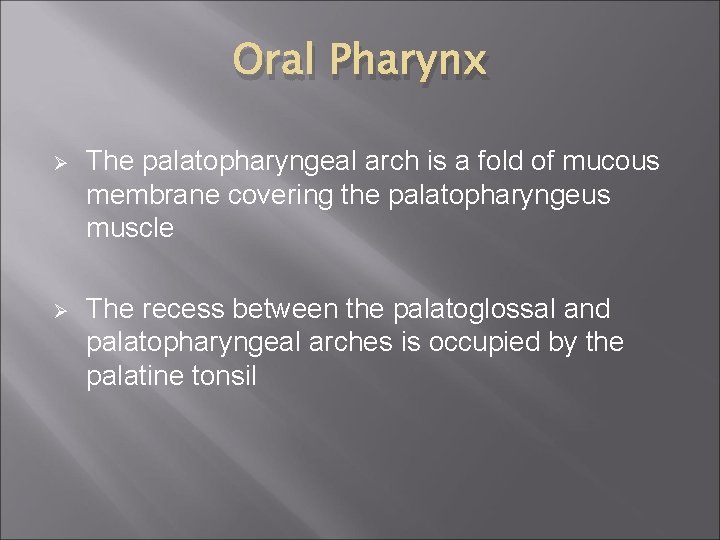 Oral Pharynx Ø The palatopharyngeal arch is a fold of mucous membrane covering the