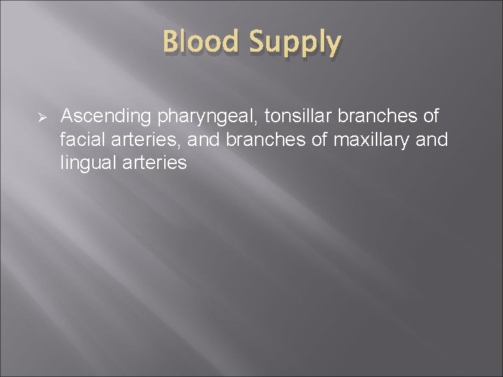 Blood Supply Ø Ascending pharyngeal, tonsillar branches of facial arteries, and branches of maxillary