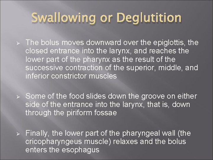 Swallowing or Deglutition Ø The bolus moves downward over the epiglottis, the closed entrance