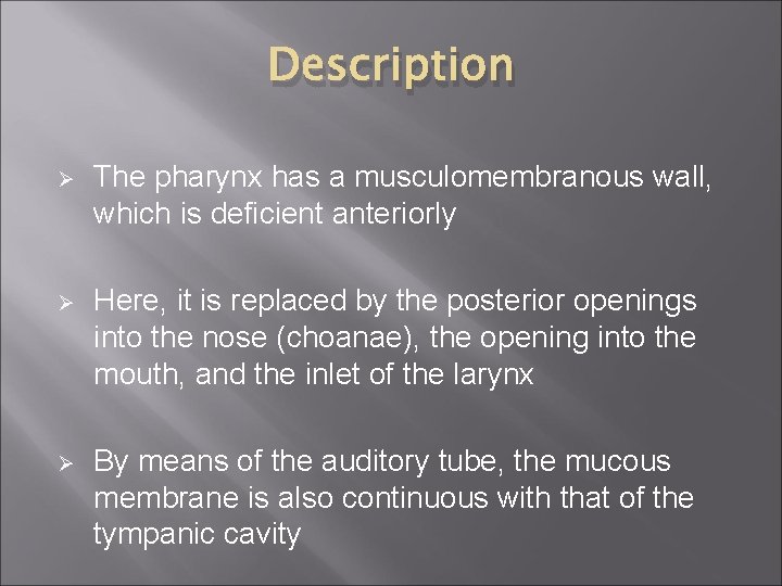 Description Ø The pharynx has a musculomembranous wall, which is deficient anteriorly Ø Here,