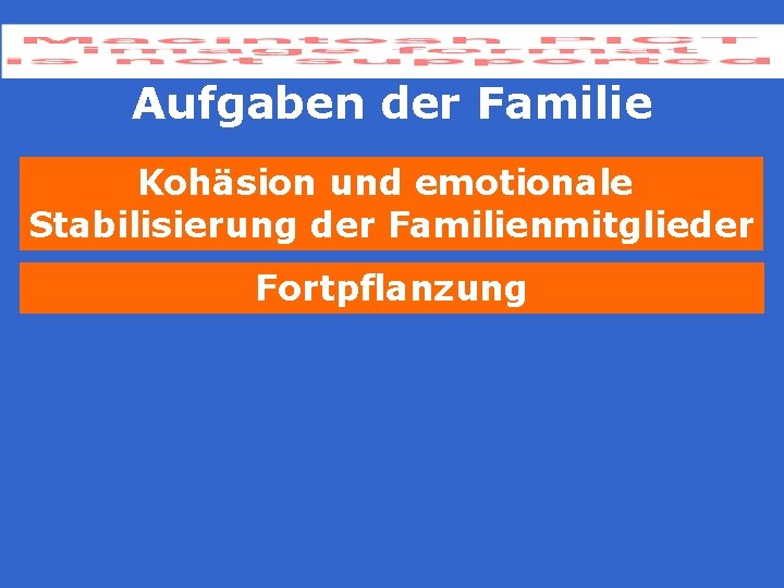 Aufgaben der Familie Kohäsion und emotionale Stabilisierung der Familienmitglieder Fortpflanzung 