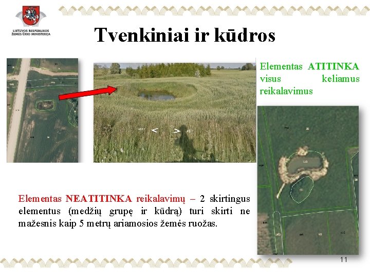 Tvenkiniai ir kūdros Elementas ATITINKA visus keliamus reikalavimus Elementas NEATITINKA reikalavimų – 2 skirtingus