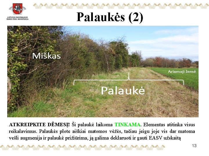 Palaukės (2) ATKREIPKITE DĖMESĮ! Ši palaukė laikoma TINKAMA. Elementas atitinka visus reikalavimus. Palaukės plote