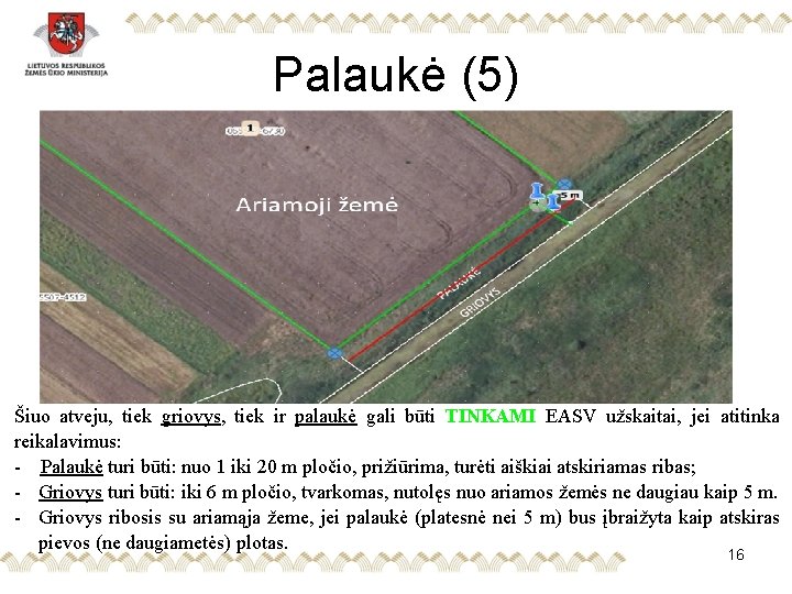 Palaukė (5) Šiuo atveju, tiek griovys, tiek ir palaukė gali būti TINKAMI EASV užskaitai,