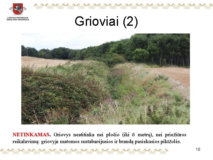 Grioviai (2) NETINKAMAS. Griovys neatitinka nei pločio (iki 6 metrų), nei priežiūros reikalavimų: griovyje