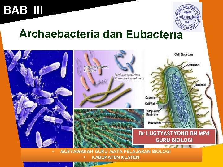 BAB III Archaebacteria dan Eubacteria Dr LUGTYASTYONO BN MPd GURU BIOLOGI • MUSYAWARAH GURU